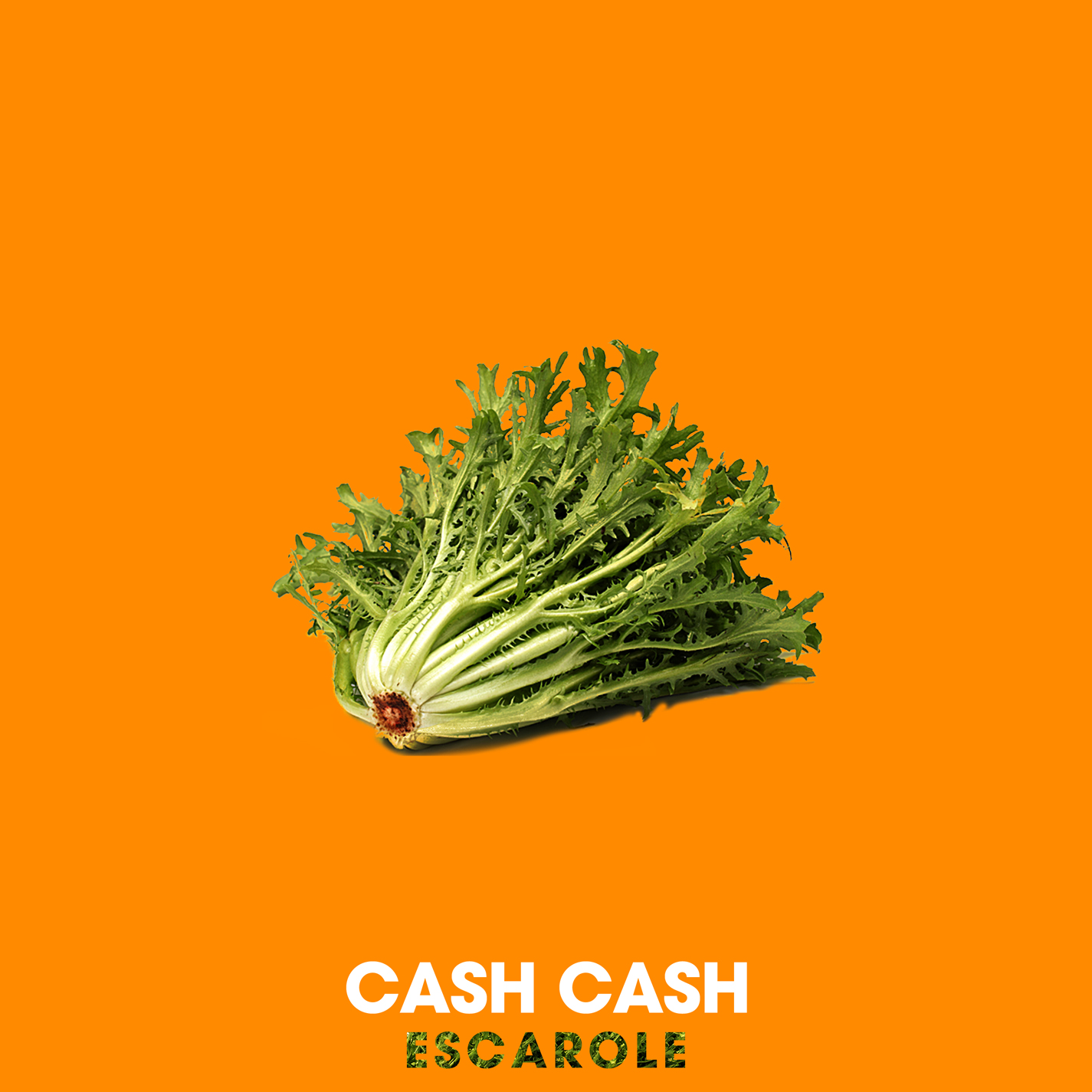 Cash Cash